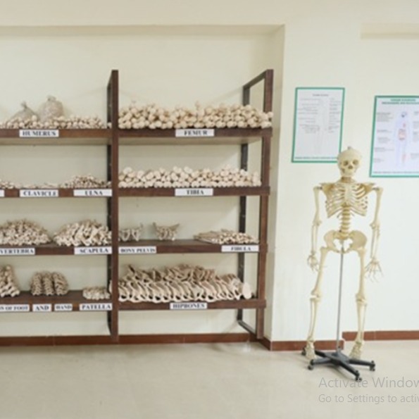 Department gallery